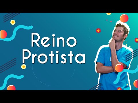 Vídeo: Qual é o nome comum para protistas?