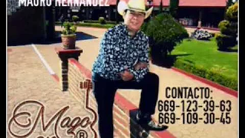 CORRIDO DE MAURO HERNNDEZ -MAGO HERNNDEZ (2017)