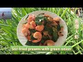 两人食：葱爆大虾 | Stir-fried prawns with green onion | 自己种的东北大葱，Costco的带壳大虾，无需其它佐料，非常美味 | 大葱种植方法（V139）