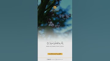 تلاوة الشيخ احمد بن طالب