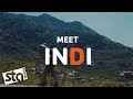 Meet INDI | STA Travel