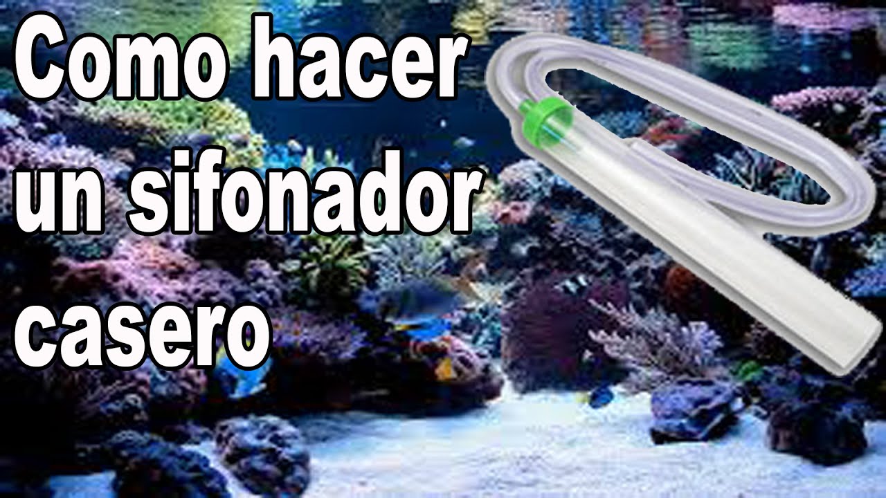 como hacer un sifonador casero para la grava del acuario 