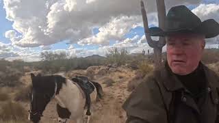 Colt trailer loading and ponying