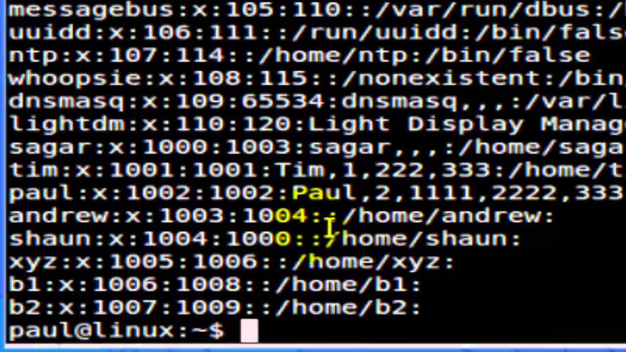 How to read the etc passwd file in Linux