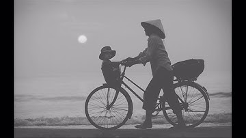 Mẹ Tôi - Tùng Dương | St.Trần Tiến