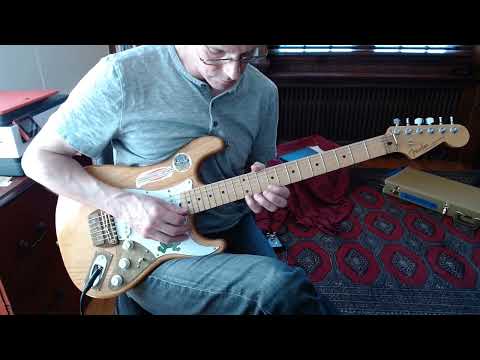 Rusch Guitars Garcia Alligator Strat Short Demo