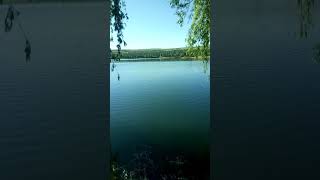 Mavi Göl Turna Avı