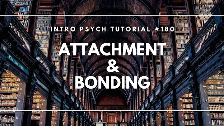 Attachment & Bonding (Intro Psych Tutorial #180)