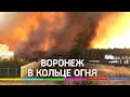Воронеж в кольце огня: площадь пожара растет, спасатели работают без передышки