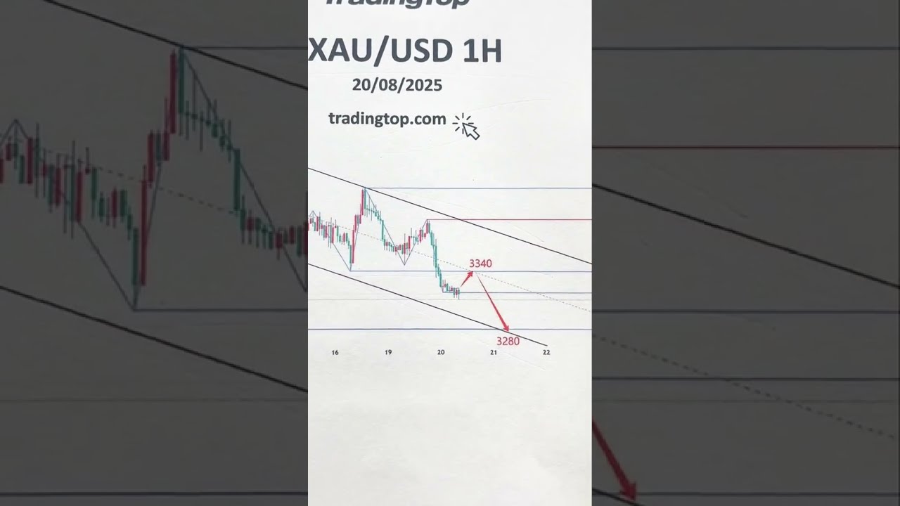H1 Xauusd Current Update 20 08 2025 Gold Next Move Trading Goldanalysis