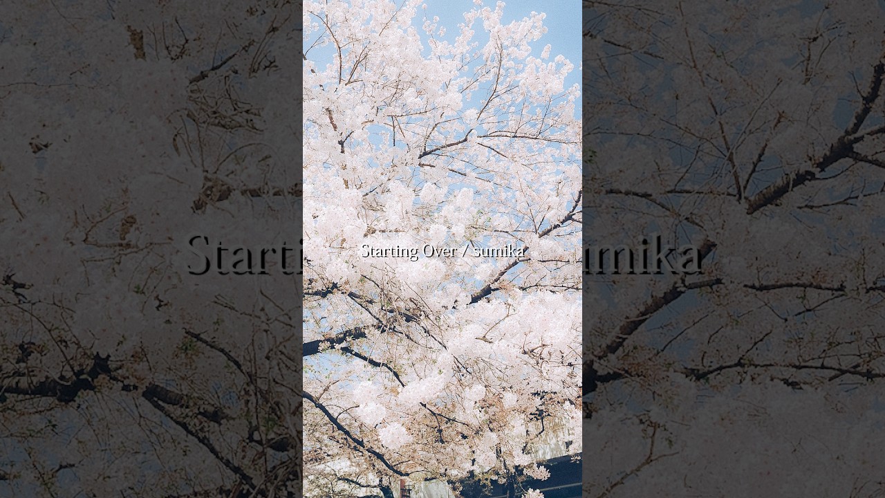 sumika / Starting Over (AL『Vermillion’s』収録) #sumika_StartingOver
