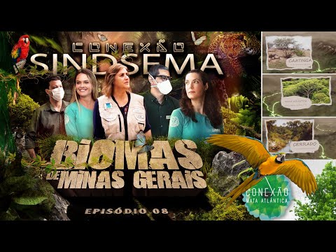BIOMAS DE MINAS GERAIS - CONEXÃO SINDSEMA EP 08 BIOMAS DE MINAS GERAIS - CONEXÃO SINDSEMA EP 08