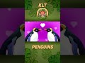 What Do Penguins Eat? | KLT WILD #shorts