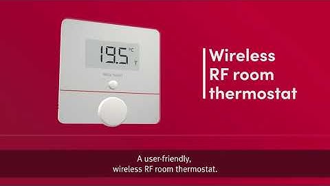 MiGo Select | Glow-worm