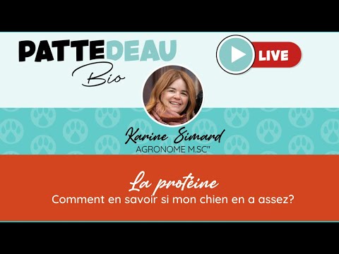 Vidéo: Quelle quantité de protéines mon chien a-t-il vraiment besoin?