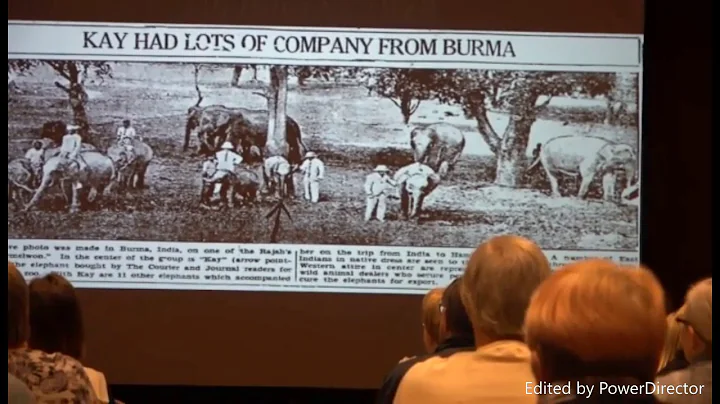 The Story of Two Elephants