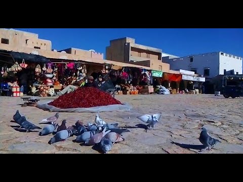 يا الحمام الزاجل أغنية رائعة بصوت الفنانة منية عبد العالي ابنة ڨابس