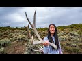 Victorias giant muley shed