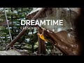 Dreamtime cresciano