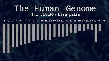 The Golden Age of Genomics