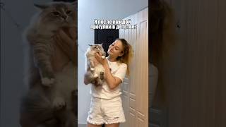 Жизнь ахаха #история #животные #милота #юмор #котики