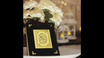 #القران_تلاوة/سُورَةُ يُوسُفَ#خاشعة يريح القلب🤍 #اكسبلور - الشيخ سعد الغامدي🤍🥀