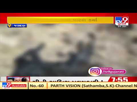 Leopard killed 16 goats in Rajkot's Jasdan| TV9News