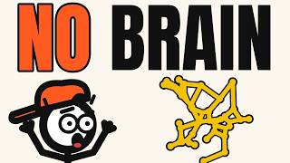 8 Levels of Intelligence, Explained in 29 Minutes