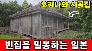 일본 오키나와 유령마을 빈집 ♤ 고려의 전통을 지키는 유구국 사람들