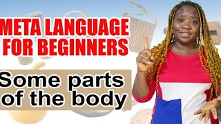 Meta Language for Beginners
