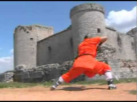 18 Movements of Shaolin "" (18 LOHAN)South Shaolin...