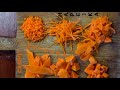 Нарезка моркови (7 видов нарезки) | Slicing carrot (7 types of cutting)