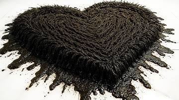 Dirty Carpet Cleaning with Satisfying ASMR _ Relaxing Video