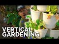 Vertical Gardening 101 | GreenStalk Garden Review