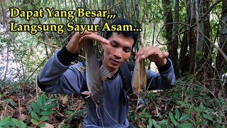 Mancing Dapat Ikan Baung langsung Di Sayur Tanpa Di P0t0ng-P0t0ng