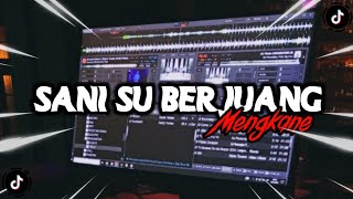 DJ SANI SU BERJUANG X SWEET BUT PSYCHO SLOW REMIX VIRAL TIKTOK MENGKANE 2024 YANG KALIAN CARII!!!