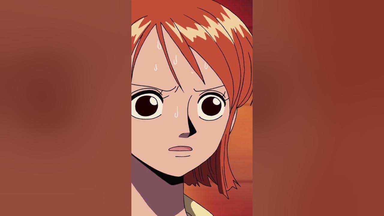 Zoro warn Luffy and crewmate for Usopp appology for rejoin crew part 2