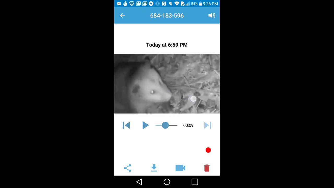 Blink XT Security Camera Android APP 