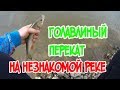 Голавлиный перекат