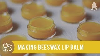 #WildernestHive: Making Your Own Beeswax Lip Balm
