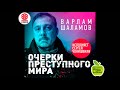 Очерки преступного мира. Шаламов В. Аудиокнига. читает Сергей Чонишвили