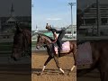 Nycon is already an icon in our books and now she's running in the Kentucky Oaks! #filly #horsegirl