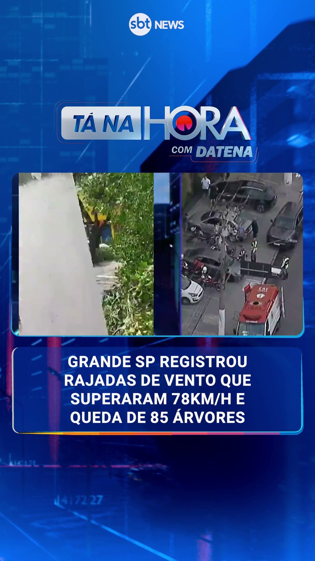 Temporal provoca alagamentos e queda de ao menos 85 árvores em São Paulo
