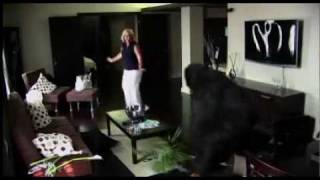 Jackass 3D - full Movie offical trailer in [HD]