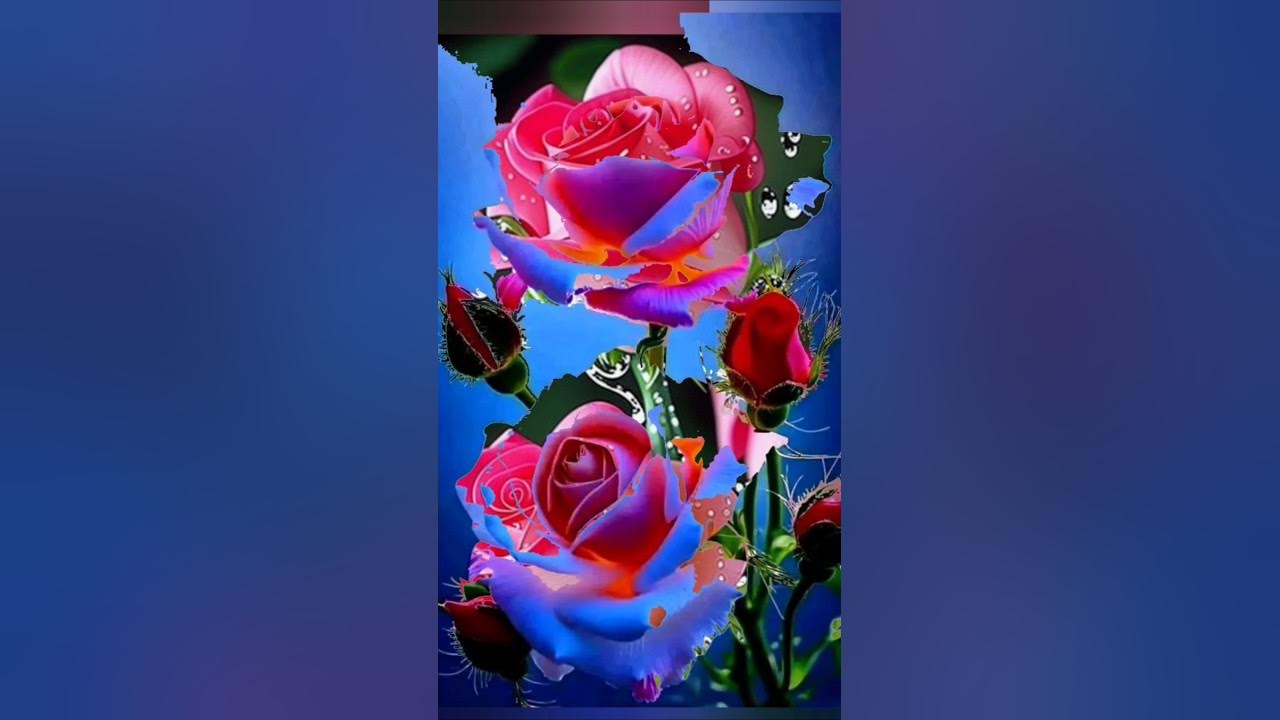 The most beautiful flowers in the garden #flowers #nature #flowerstatus #shorts #viralvideo #treding The most beautiful flowers in the garden #flowers #nature #flowerstatus #shorts #viralvideo #treding