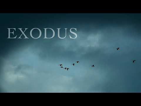 Exodus Dramatic Piano Luke Faulkner Exodus Dramatic Piano Luke Faulkner