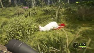 Cervo Sika Albino Te Awaroa #PS4 #theHunter: Call of the Wild