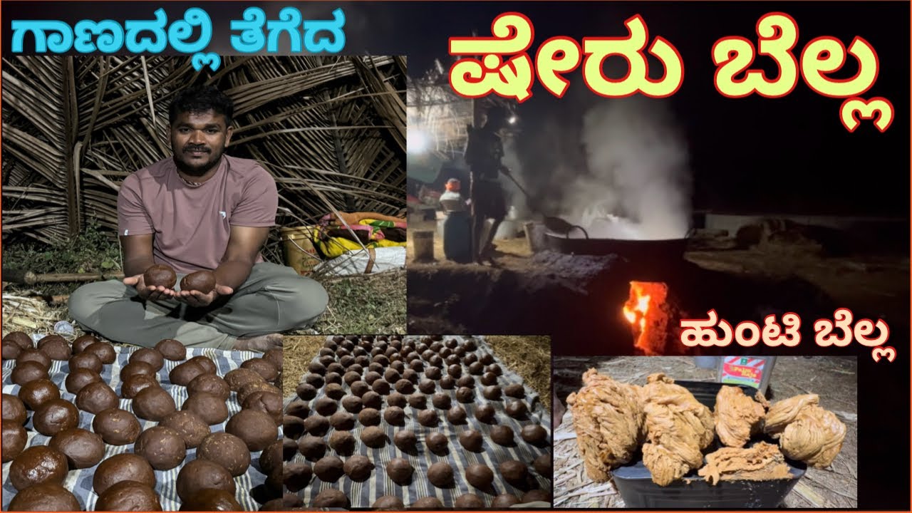 ಗಾಣದಲ್ಲಿ ತೆಗೆದ ಷೇರುಬೆಲ್ಲ 😋 / ದೇಹಕ್ಕೆ ಆರೋಗ್ಯಕರವಾದ ಈ ಬೆಲ್ಲ ನೀವು ತಿಂದಿದ್ದೀರ /ಹುಂಟಿ ಬೆಲ್ಲ/ #lokeshbailur