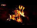 Fireplace Sound🔥Cozy & Raw Wood Burning to Calm Your Mind
