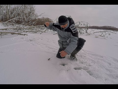 В ЛУНКУ НЕ ЛЕЗЕТ!!! ТАЩИ ЕГО СЕРЕГА!!!! Первый лед. Рыбалка в корягах на балансир!